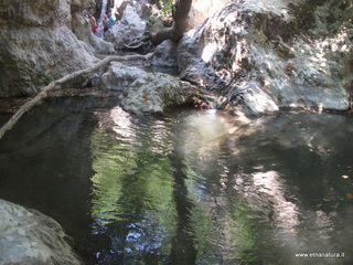 ldaia del Drago19-07-2015 11-37-29